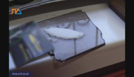 Czerpali korzyści z nierządu