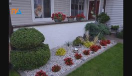 „Kwieciste ogrody” za nami