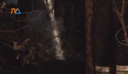 Najczęściej zabija czad