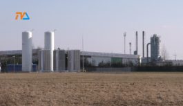 Strefa rośnie w siłę. Przedsiębiorstwa również.