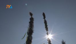 Niedziela palmowa za nami