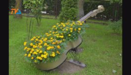 Gdzie te piękne ogrody? W Suwałkach