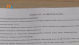 Wszyscy płacimy alimenty Wszyscy płacimy alimenty