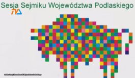 Polityczna burza w sejmiku