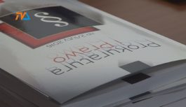 Bywało że nękała. Ale nieuporczywie i niezłośliwie
