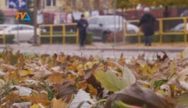 Miasto i powiat: od piatku 80 nowych zakażeń!