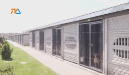 Wolontariusze pomogą zarobić ten milion?