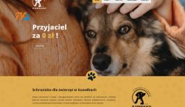 Suwalskie schronisko uruchomiło stronę internetową