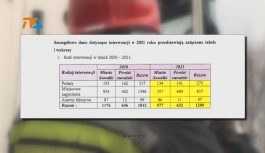 Spokojny rok u strażaków.