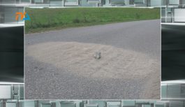 Gm. Szypliszki: dobrze, że nie zaorali… ;)