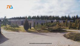 Schronisko dla zwierząt. Przetarg. Schronisko dla zwierząt. Przetarg.