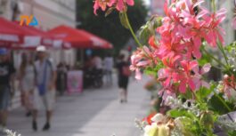 Suwałki. Raport o stanie miasta: zdrowie. Suwałki. Raport o stanie miasta: zdrowie.