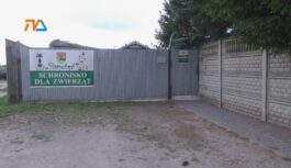 Opieka nad bezdomniakami: oferty otwarte, ale…
