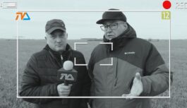 Co za tydzień w (nie tylko) Zza Kółka odc. 34?