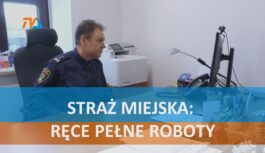 Straż Miejska: ręce pełne roboty