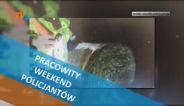 Pracowity weekend policjantów