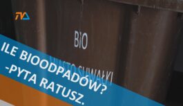Ile bioodpadów? – pyta ratusz. To ważne!