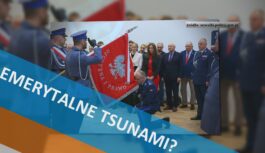 Emerytalne tsunami?