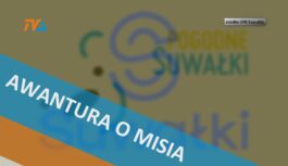 Awantura o Misia. Veto mieszkańców.
