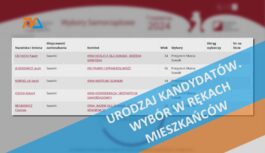 Urodzaj kandydatów. Wybór w rękach mieszkańców. Urodzaj kandydatów. Wybór w rękach mieszkańców.