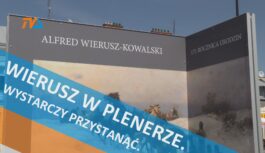 Wierusz w plenerze. Wystarczy przystanąć. Wierusz w plenerze. Wystarczy przystanąć.