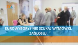 Eurowybory? Nie szukaj wymówki, zagłosuj. Eurowybory? Nie szukaj wymówki, zagłosuj.