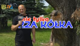(nie tylko) Zza Kółka odc. 49?