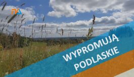Wypromują podlaskie.