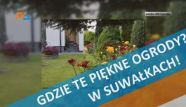 Gdzie te piękne ogrody? W Suwałkach! Gdzie te piękne ogrody? W Suwałkach!