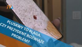 Pluskwy to plaga. Czy prezydent rozwiąże problem? Pluskwy to plaga. Czy prezydent rozwiąże problem?