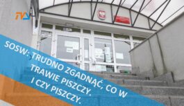 SOSW: trudno zgadnąć, co w trawie piszczy. I czy piszczy.