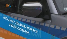 Kolejny „damski bokser” poza domem. Kolejny „damski bokser” poza domem.