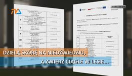 Dzielą skórę na niedźwiedziu, a zwierz ciągle w lesie… Dzielą skórę na niedźwiedziu, a zwierz ciągle w lesie…