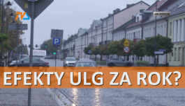 Efekty ulg za rok?