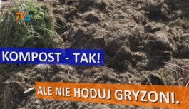 Budżet województwa zatwierdzony. Pomoże też Tarcza Wschód. Budżet województwa zatwierdzony. Pomoże też Tarcza Wschód.