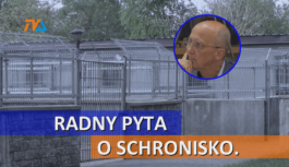 Radny pyta o schronisko. Mieszka tam ponad setka psów.