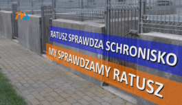 Ratusz sprawdza schronisko, a my sprawdzamy ratusz.