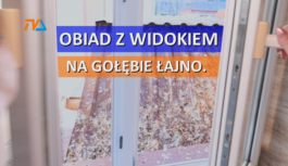 Obiad z widokiem na gołębie łajno.