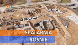 Spalarnia rośnie