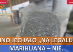 Wino jechało „na legalu”. Marihuana – nie.