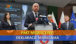Deklaracje marszałka Prokoryma w sprawie paktu migracyjnego.