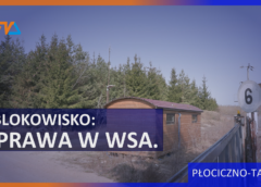 Blokowisko w Płocicznie – Tartak: sprawa w WSA.