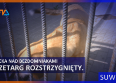 Opieka nad bezdomniakami – przetarg rozstrzygnięty.